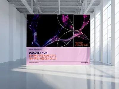 Branding Bio Archives - Museum of Natural History biology branding education graphic design logo design museum natural history natural museum of history nature science