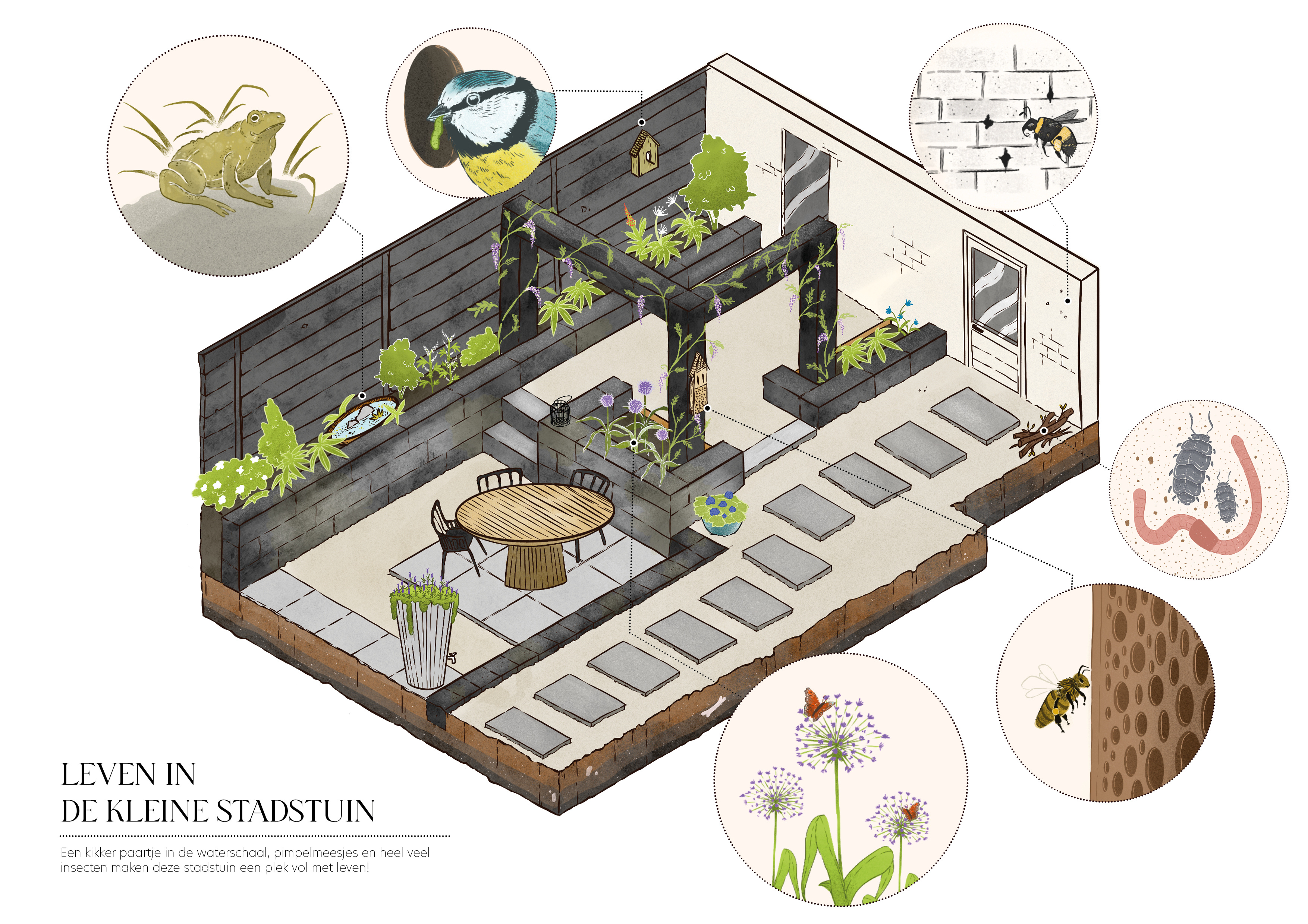 Infographic biodiversity - Isometric Science Illustration