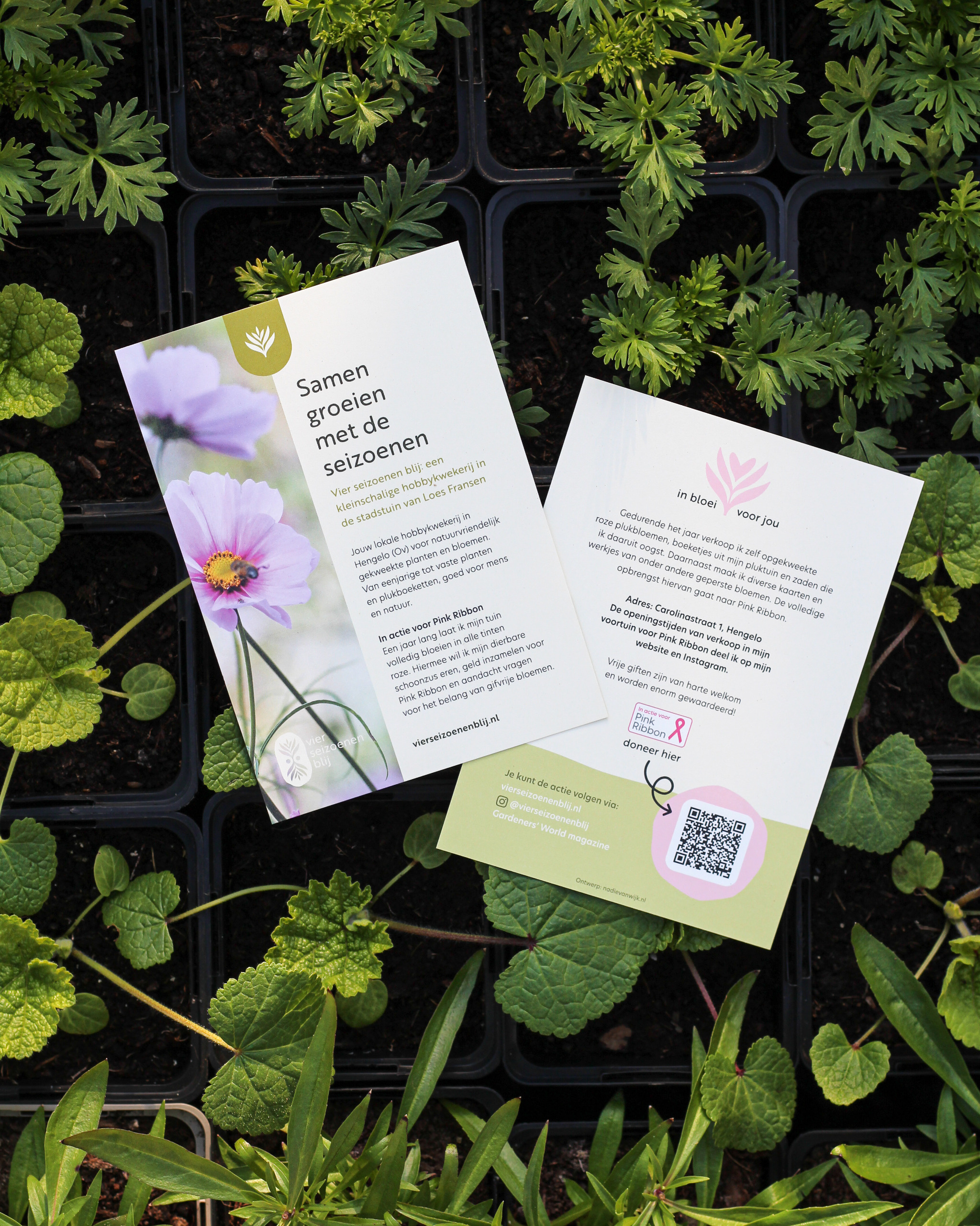 Flyer design for plant nursery– Vier Seizoenen Blij