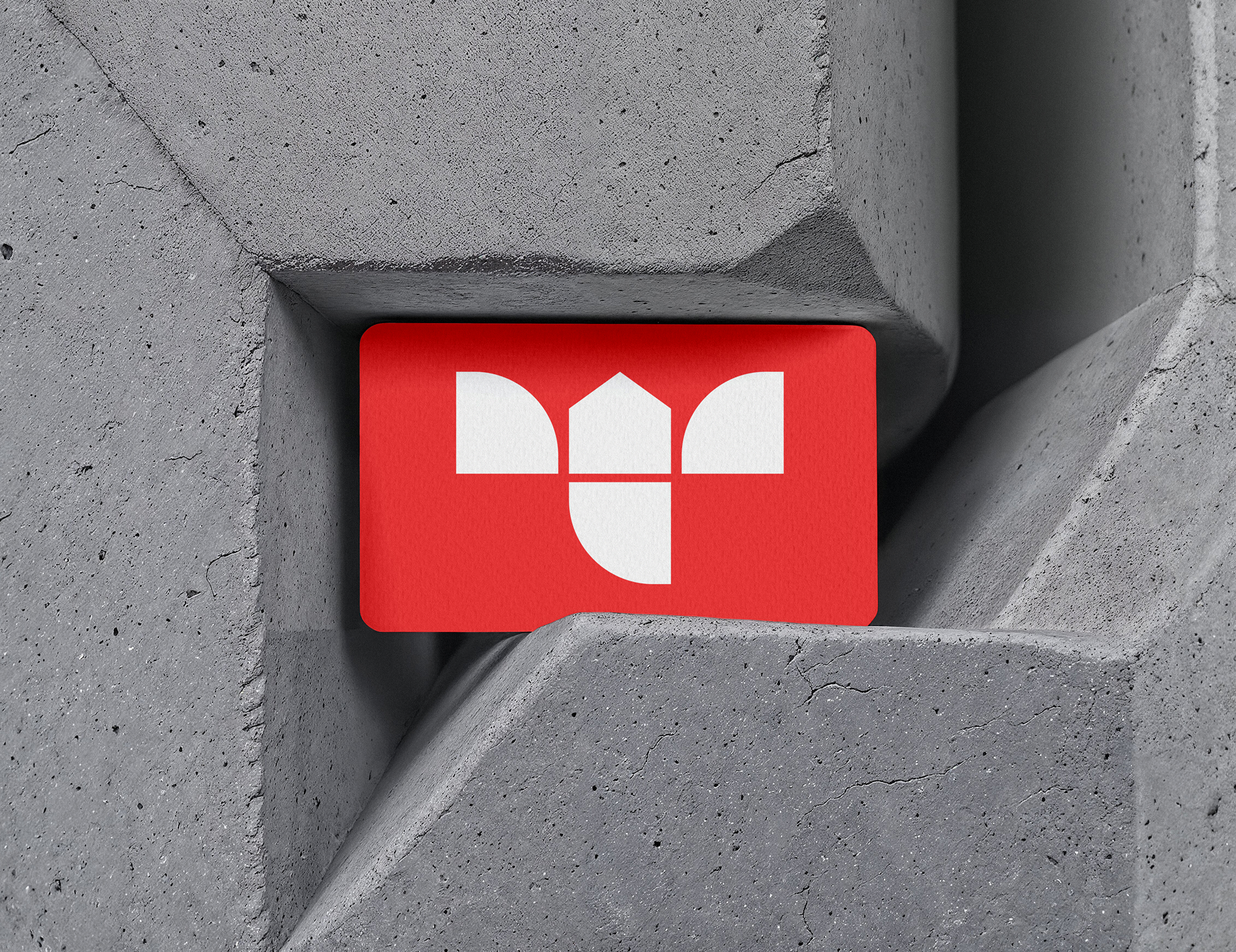 Logo Design and Branding Identity Designer