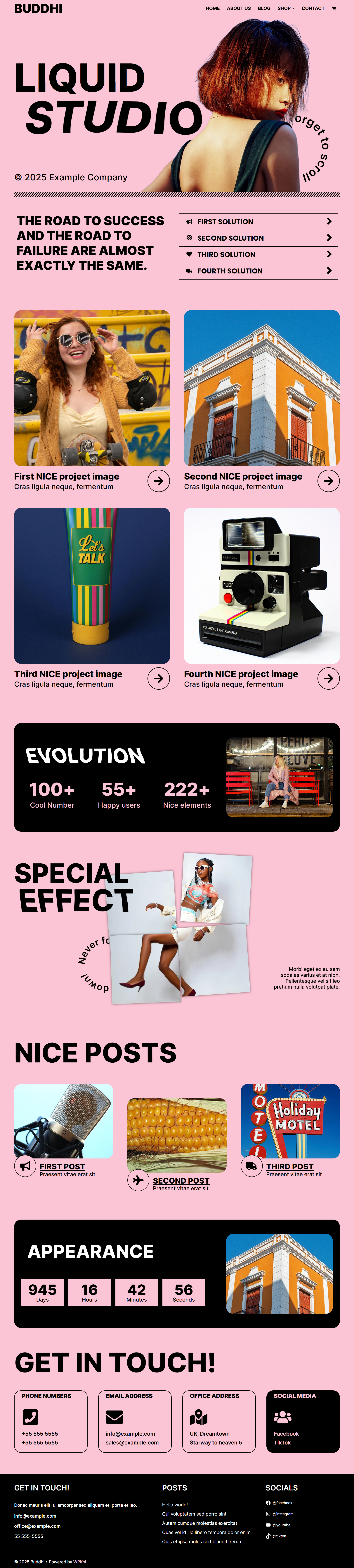 Buddhi WPKoi WordPress Theme