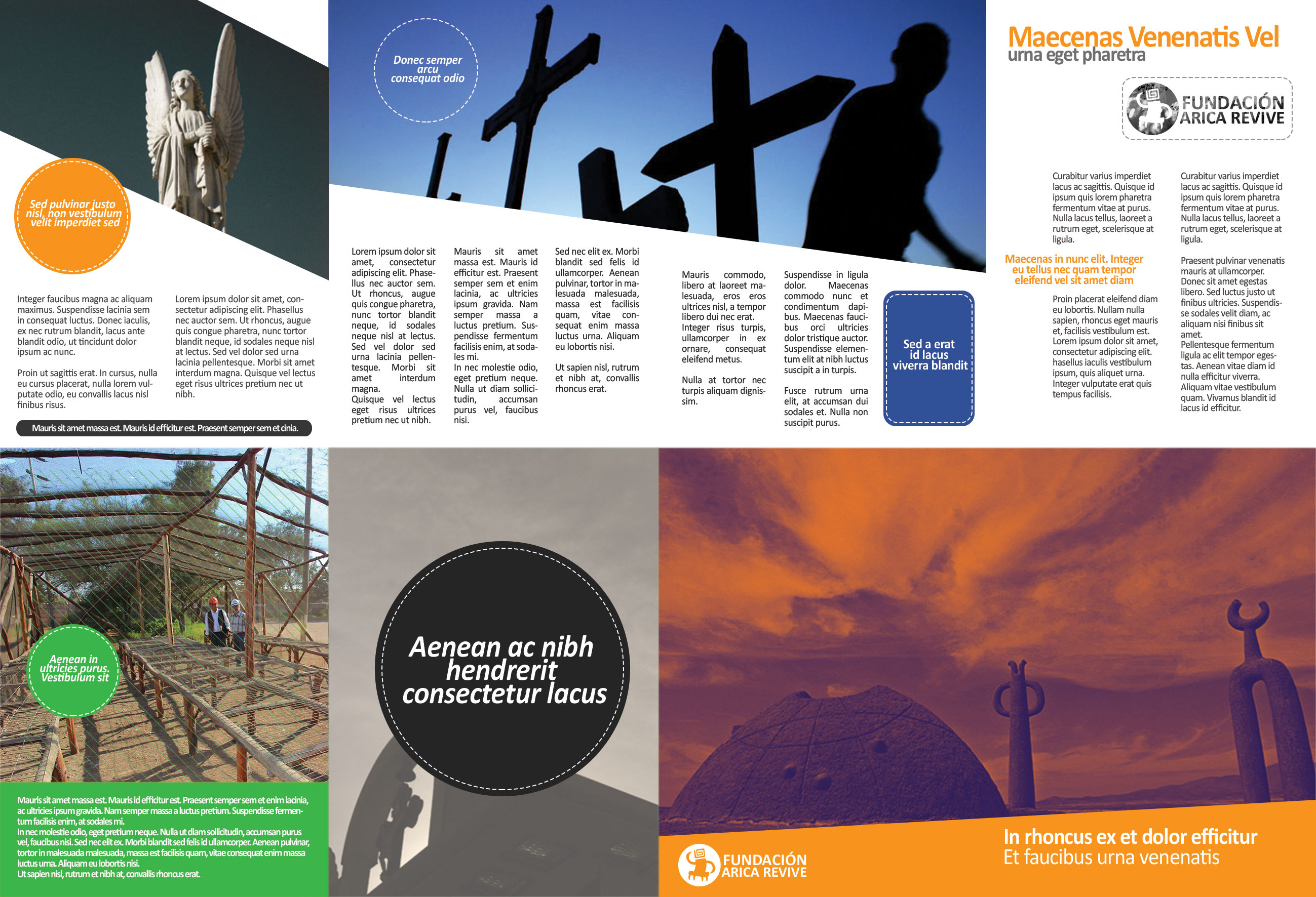 Mockup Tríptico Fundación Arica Revive