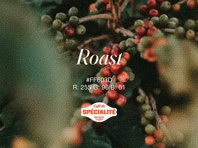 Colour Palette Showcase - La Nouvelle Vague after effects animation branding colour palette figma graphic design motion graphics photoshop visual identity