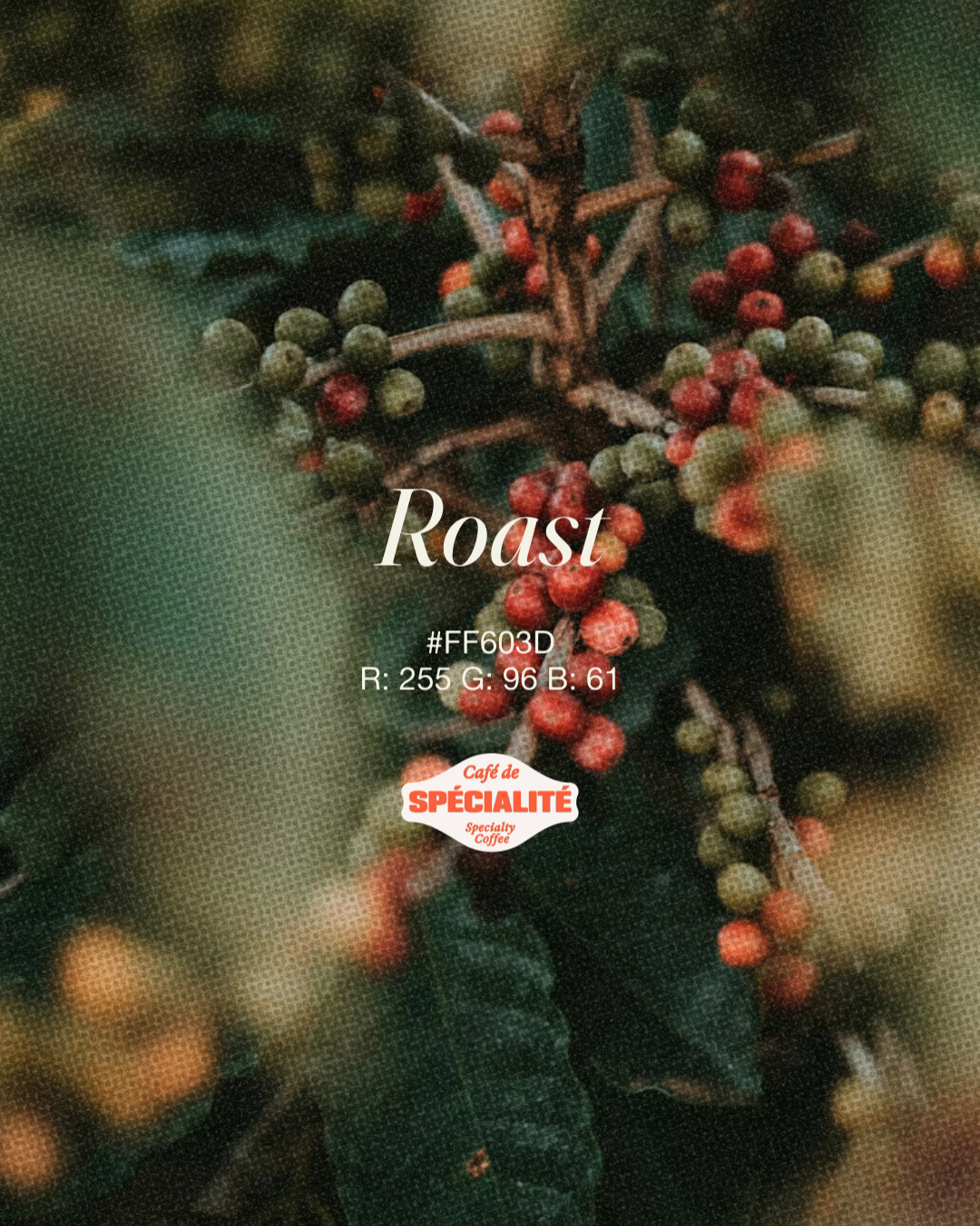 Colour Palette Showcase - La Nouvelle Vague