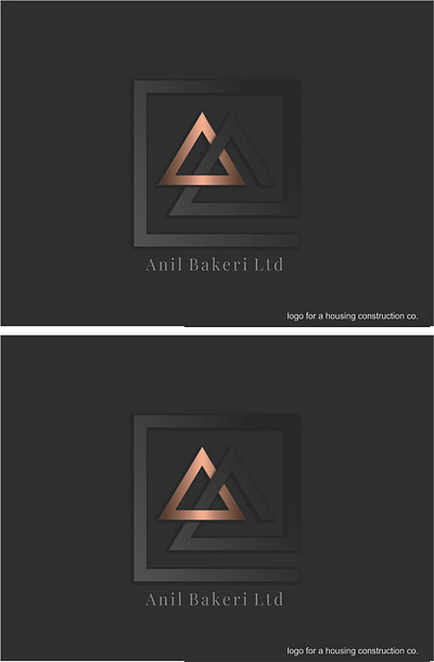 Construction branding design graphic design illustration logo typography vector