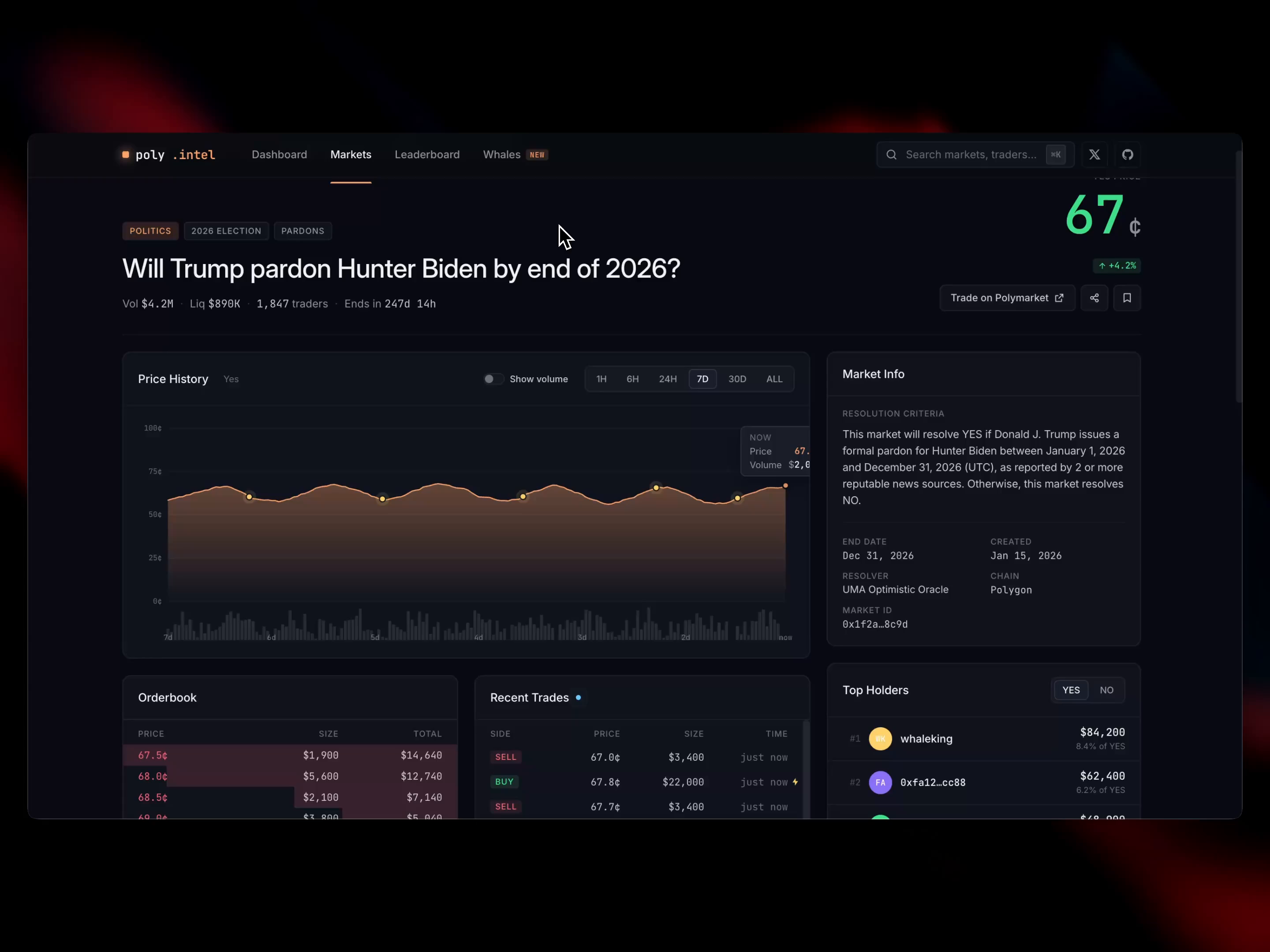 Market Details - Polymarket Intelligence Tool