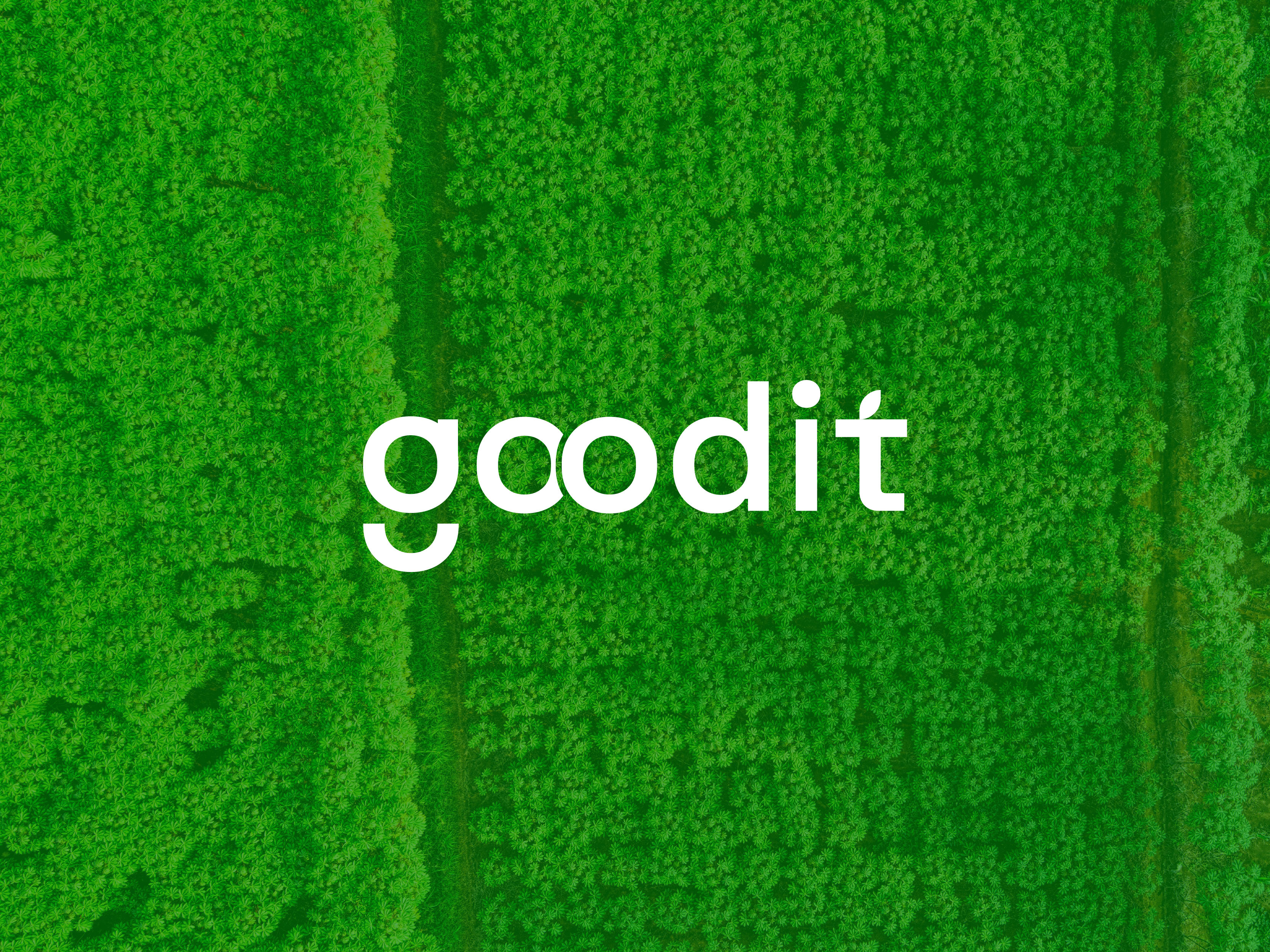 Agro Logo Design | Modern Agriculture & Organic Brand Identity