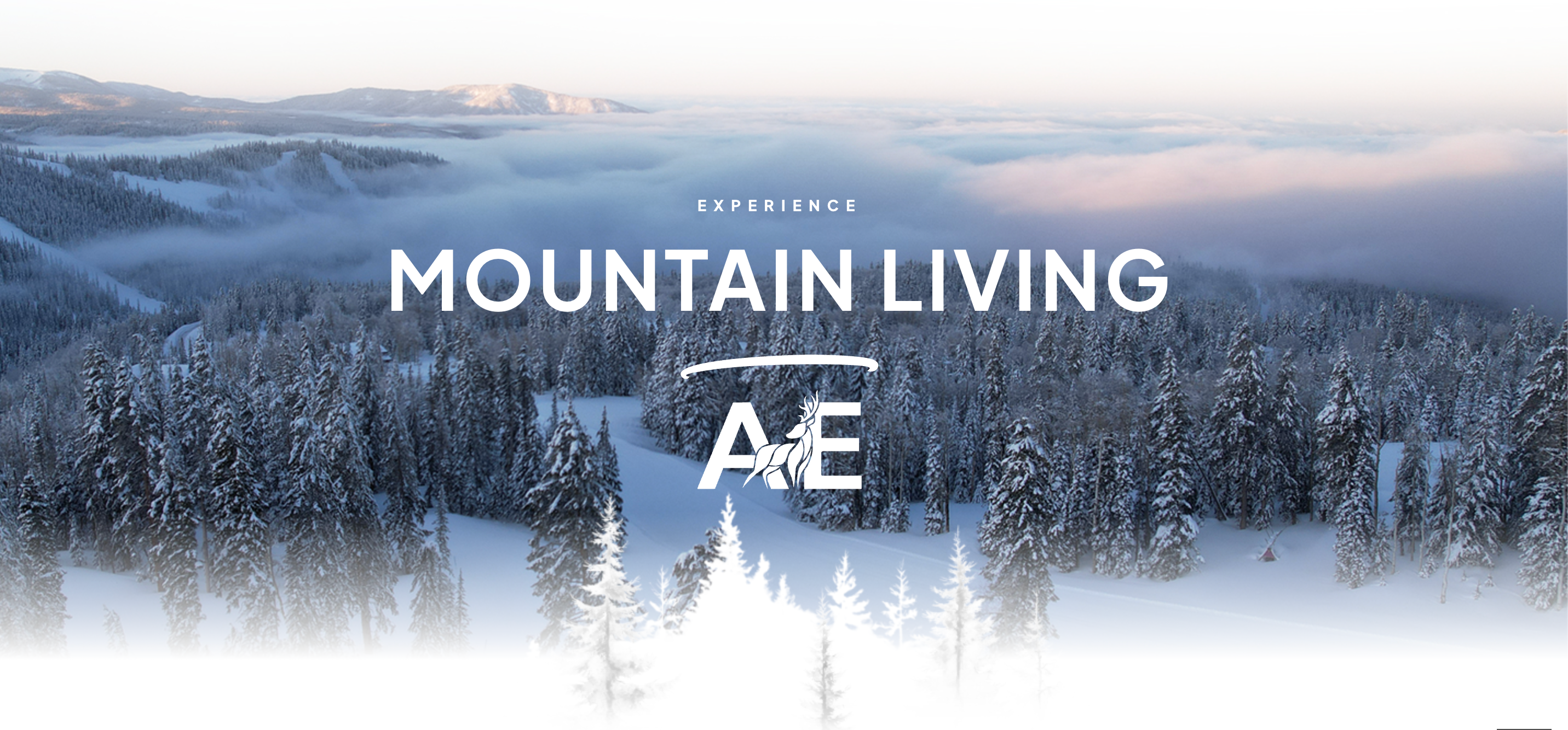 Aspen Equity Real Estate Website