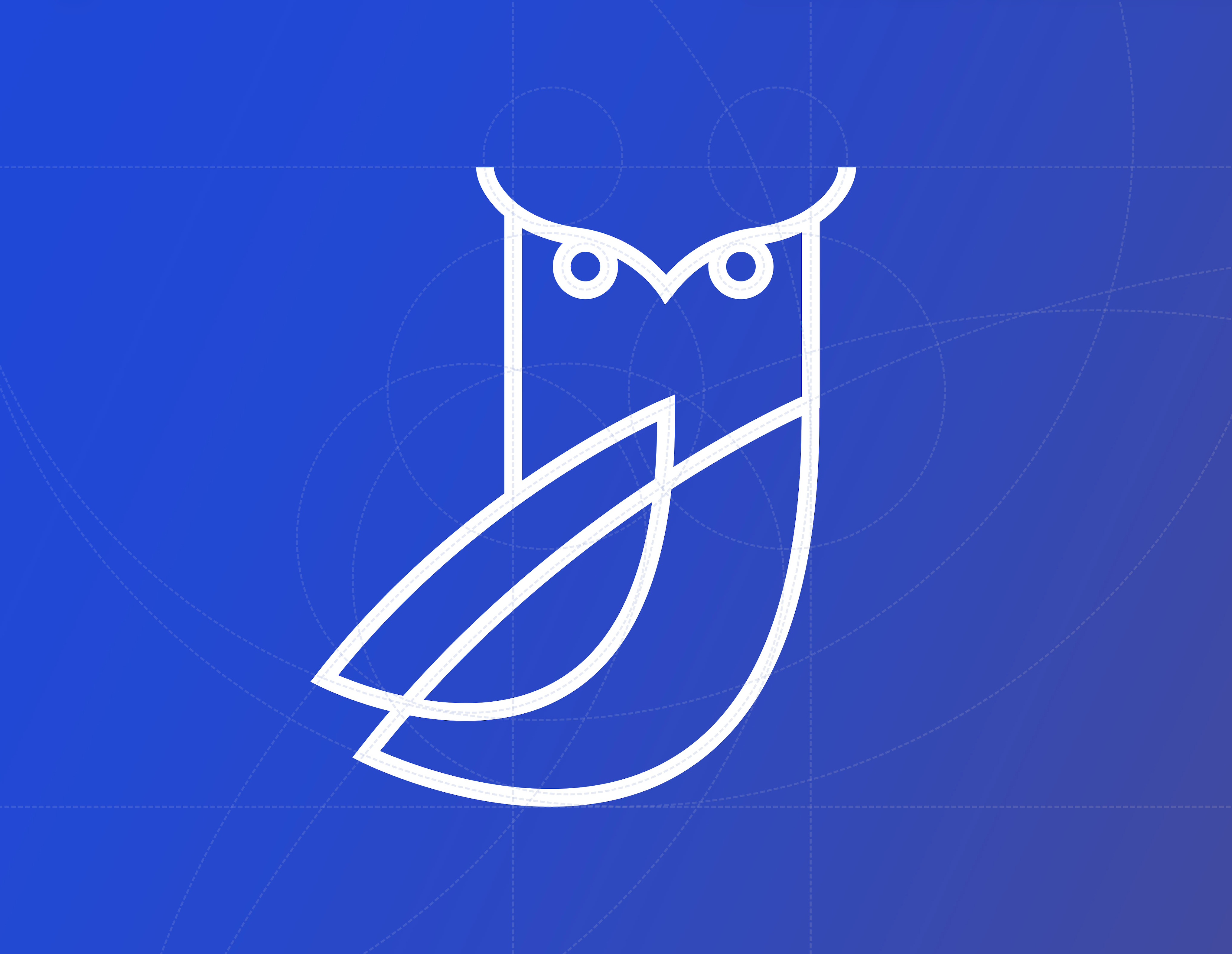 Owl logo branding for insurance co.