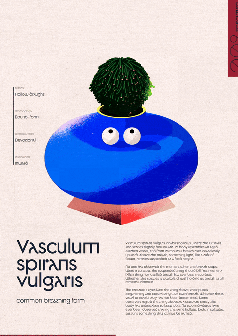 Vasculum spirans vulgaris
common breathing form