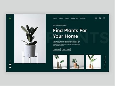 Indoor Plants Website creative graphic design indoorgardening plantcommunity plantdesign plantinspiration plantwebsite uidesign ux webdesign