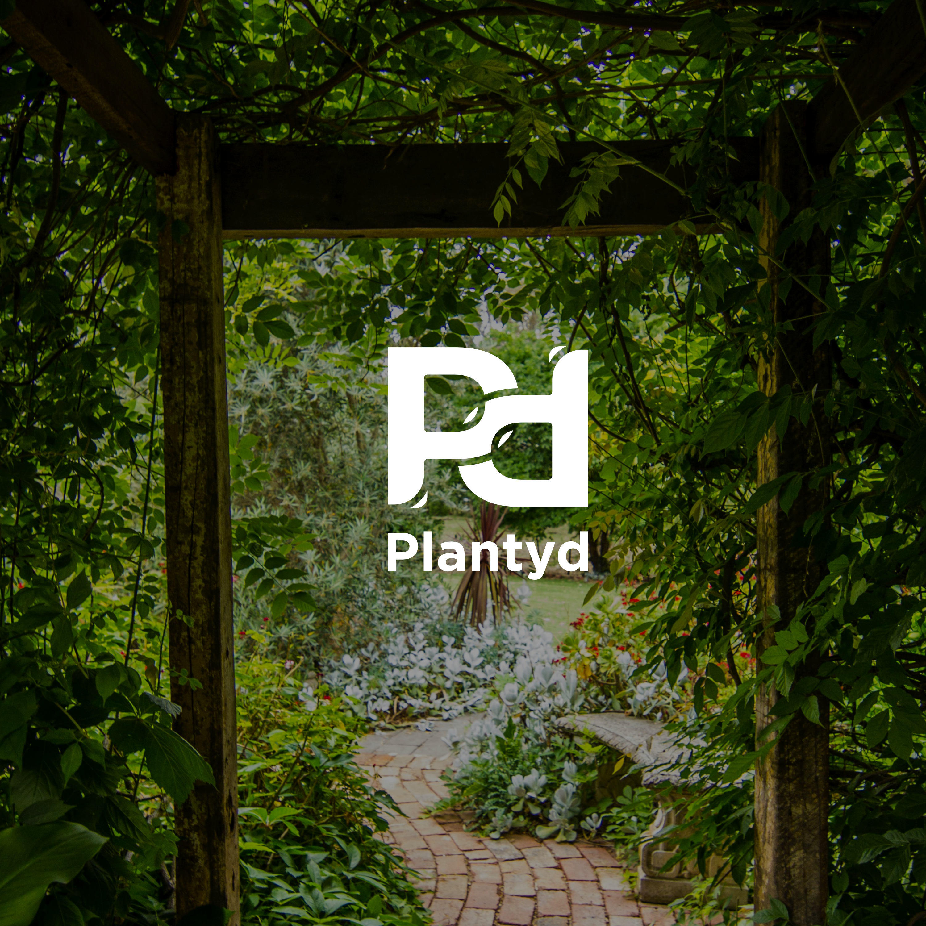 Plantyd Logo Proposal apparellogo branding clothinglogo design fitnesslogo gardenlogo graphic design gymlogo logo plant propertylogo realestatelogo tattooartist tattoologo typography vector