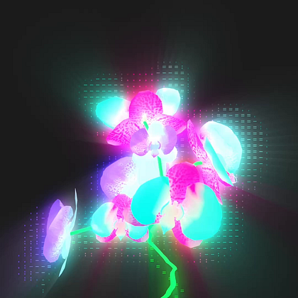 Neon Orchid