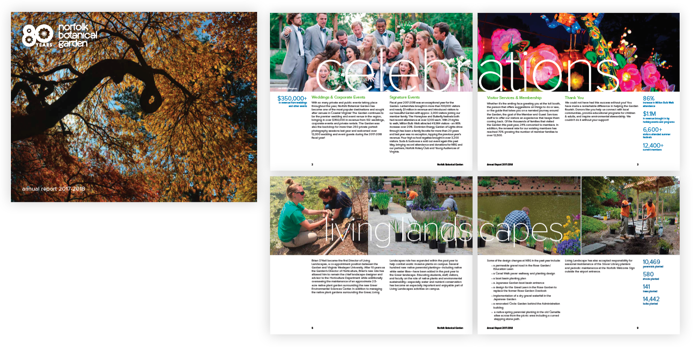 Annual Report Design and Layout