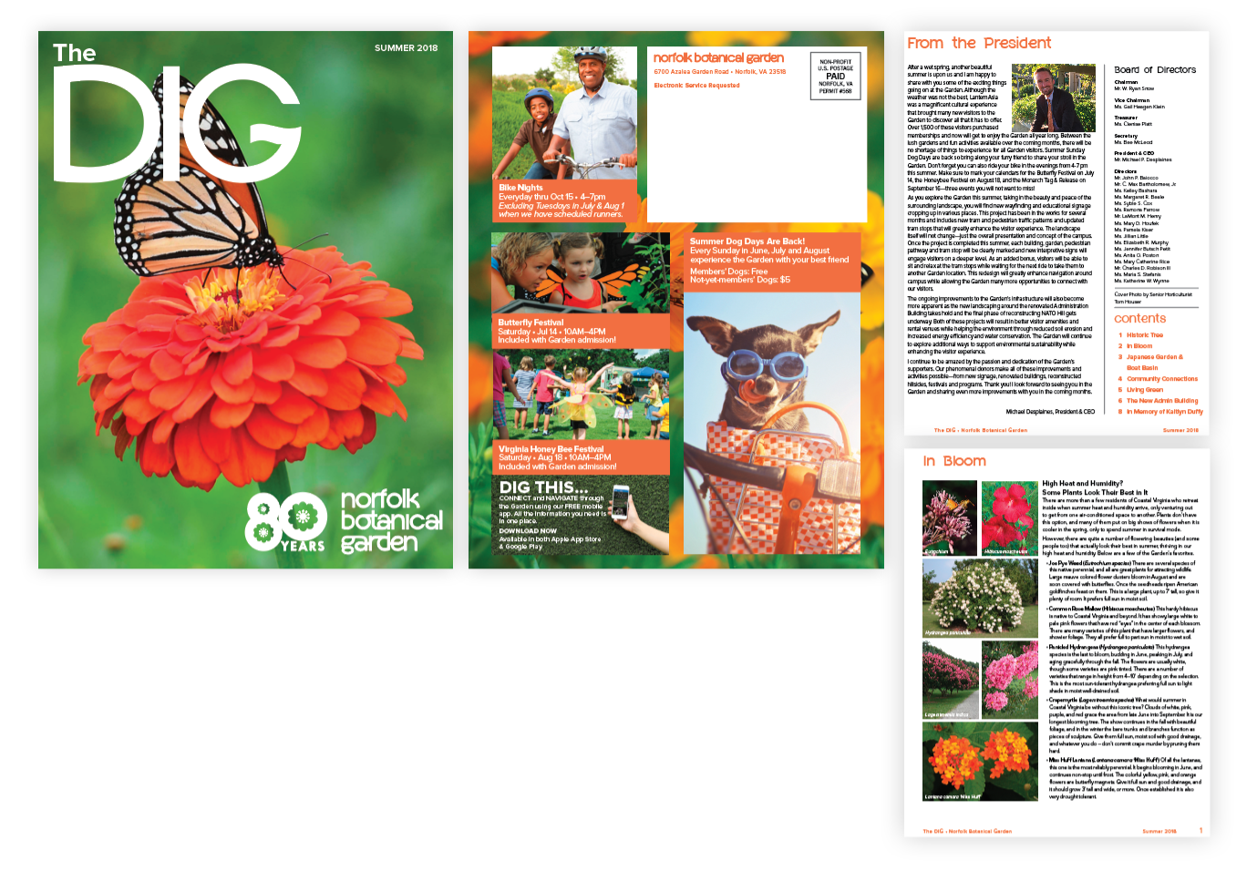Quarterly Publication Design