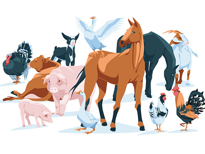 Domestic Animals designs, themes, templates and downloadable graphic  elements on Dribbble