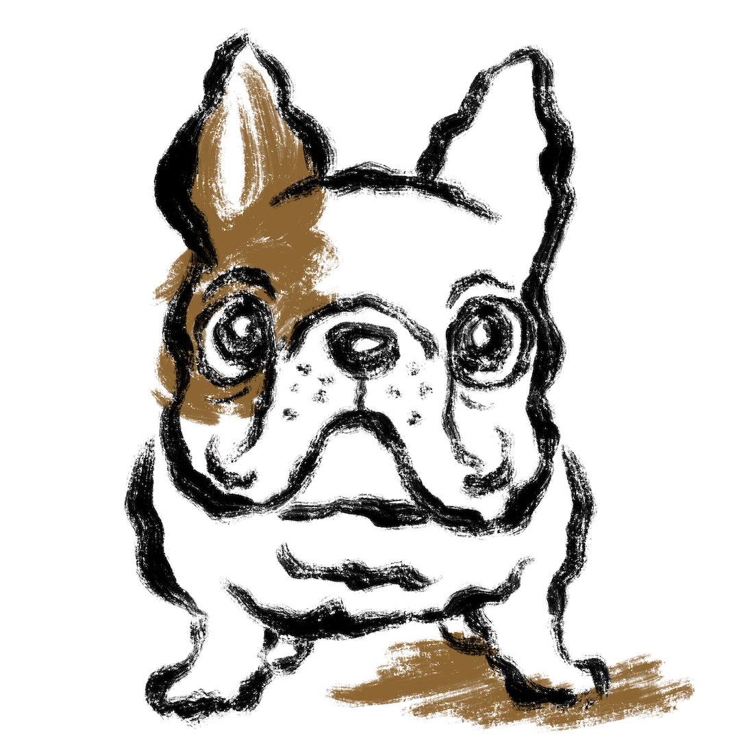 French Bulldog
