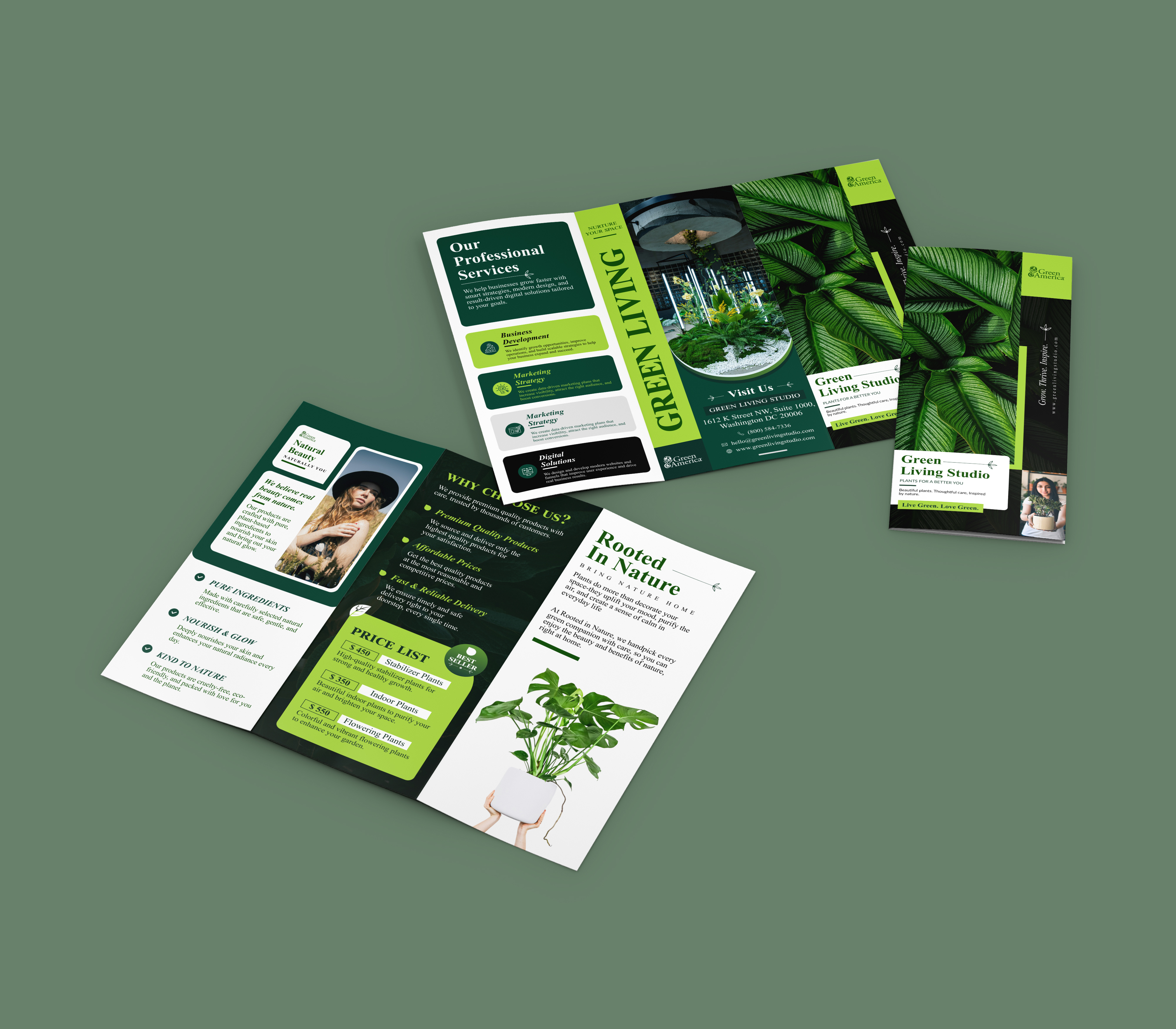 Green America Tri-Fold Brochure | Eco Business Marketing Design brandidentity branding brochuredesign businessbrochure cleandesign corporatedesign ecofriendlydesign graphicdesign greendesign illustratordesign layoutdesign marketingdesign marketingmaterials minimaldesign modernlayout photoshopdesign printdesign sustainabledesign trifoldbrochure typographydesign