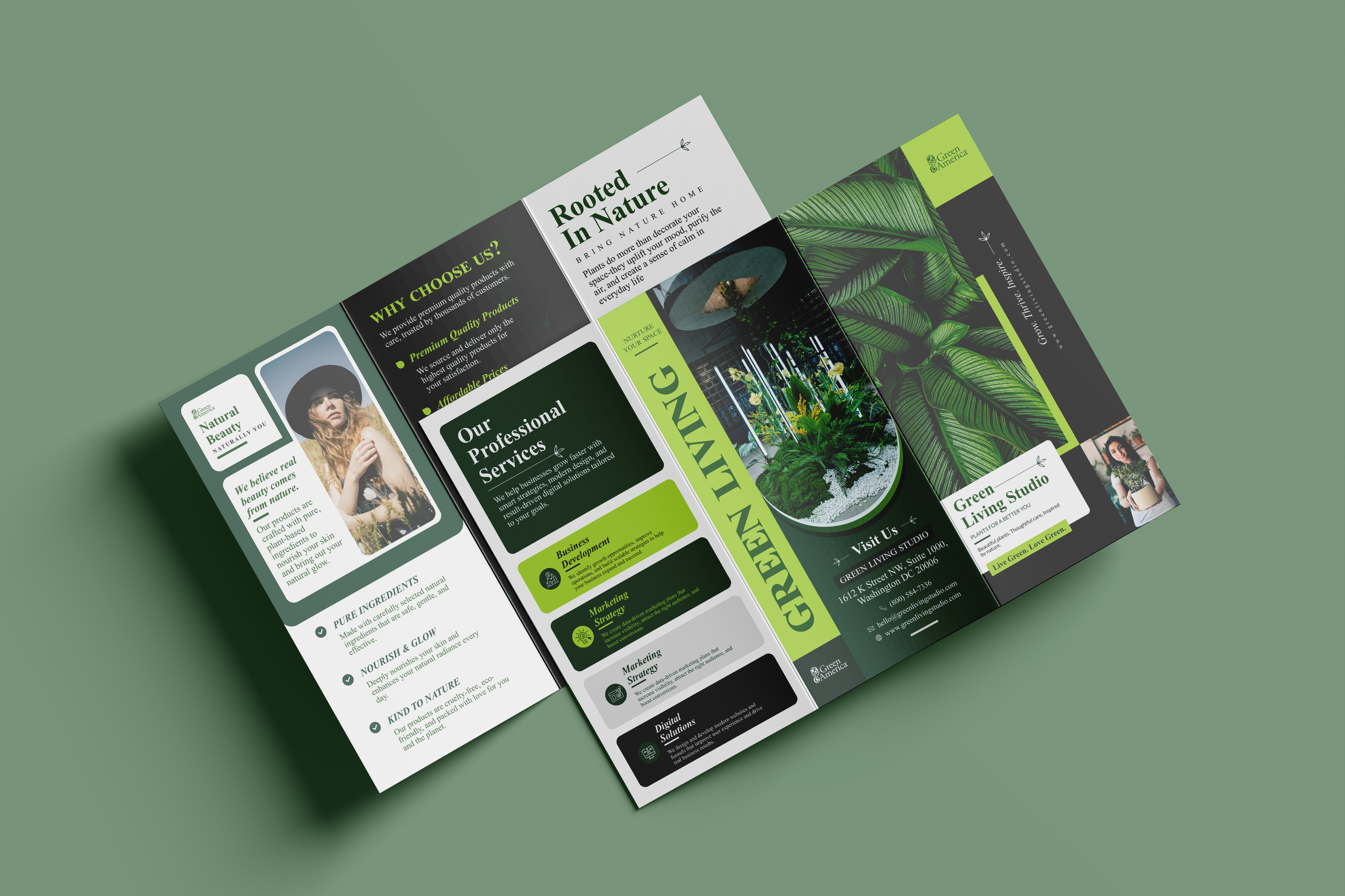 Example of Modern Premium Brochure Design Service