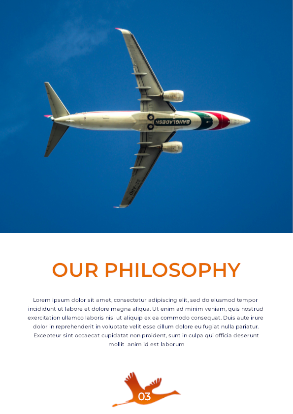 Majestic Flight Travel Agency Company Profile. branding branding design company company profile company profile design company profiles design graphic design illustration logo new profile stationery trendy typography