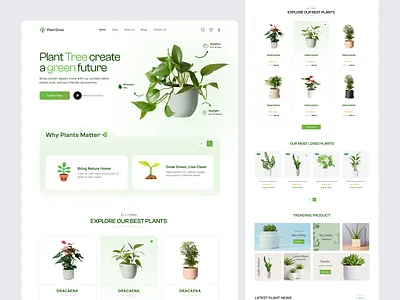 Plant Shop Landing Page ecommerce indoor plants landing page landing page design minimal ui nature ui online store plant ecommerce plant lover plant shop plant store product design product showcase ui design uiux ux design web web design website website design