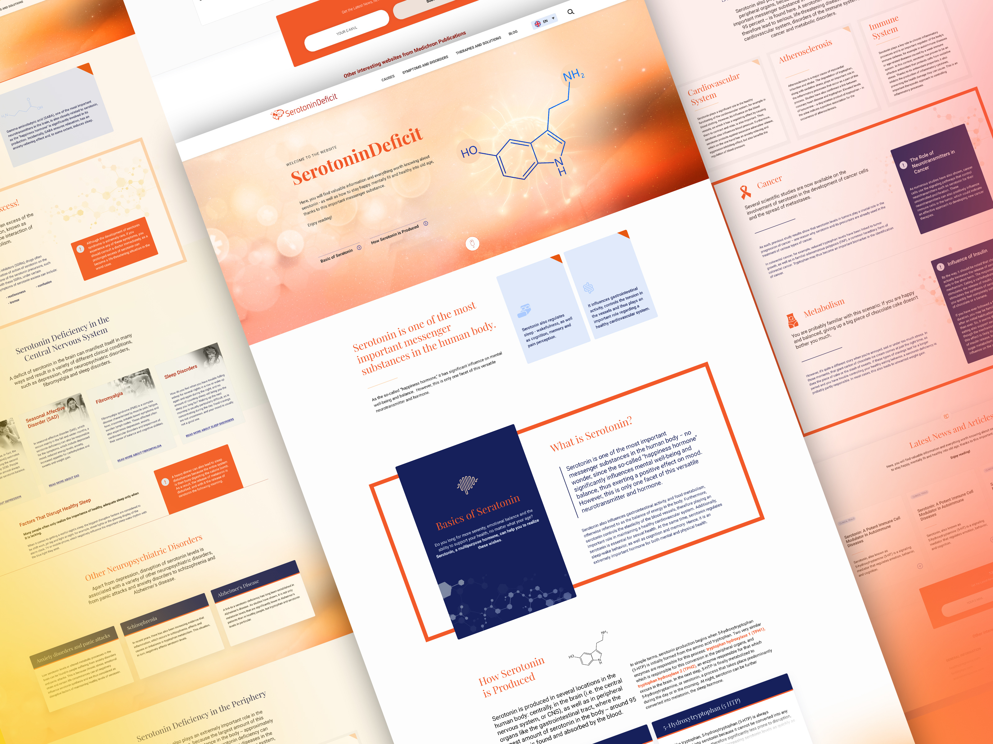 Example of Custom Website Design And Development