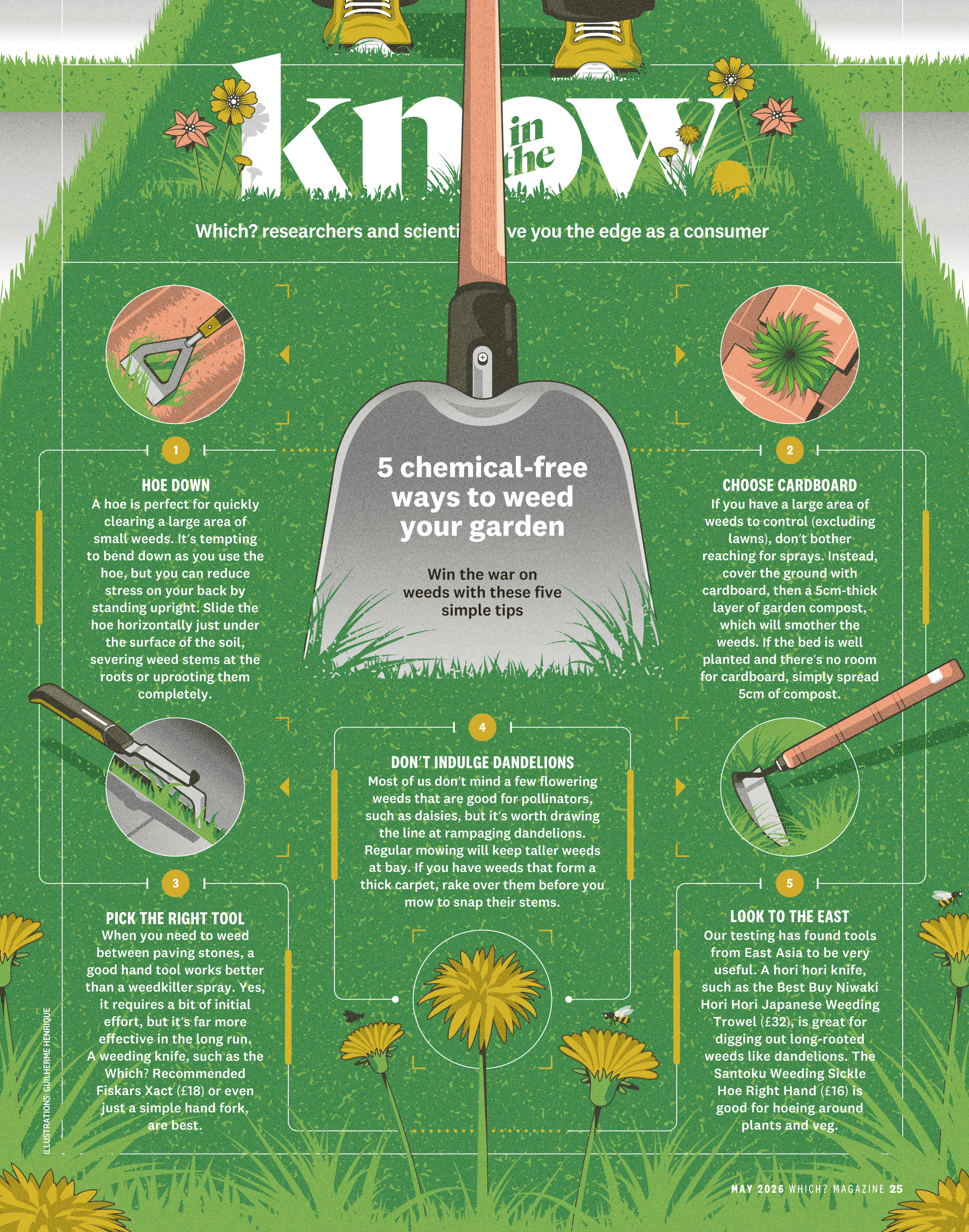 5 chemical-free ways to weed your garden (Which?) flower garden grass hoe illustration infographic plant