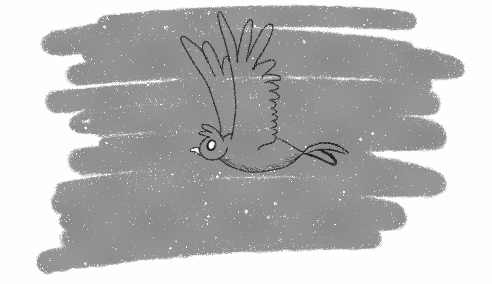 Grayscale Bird Watching animation