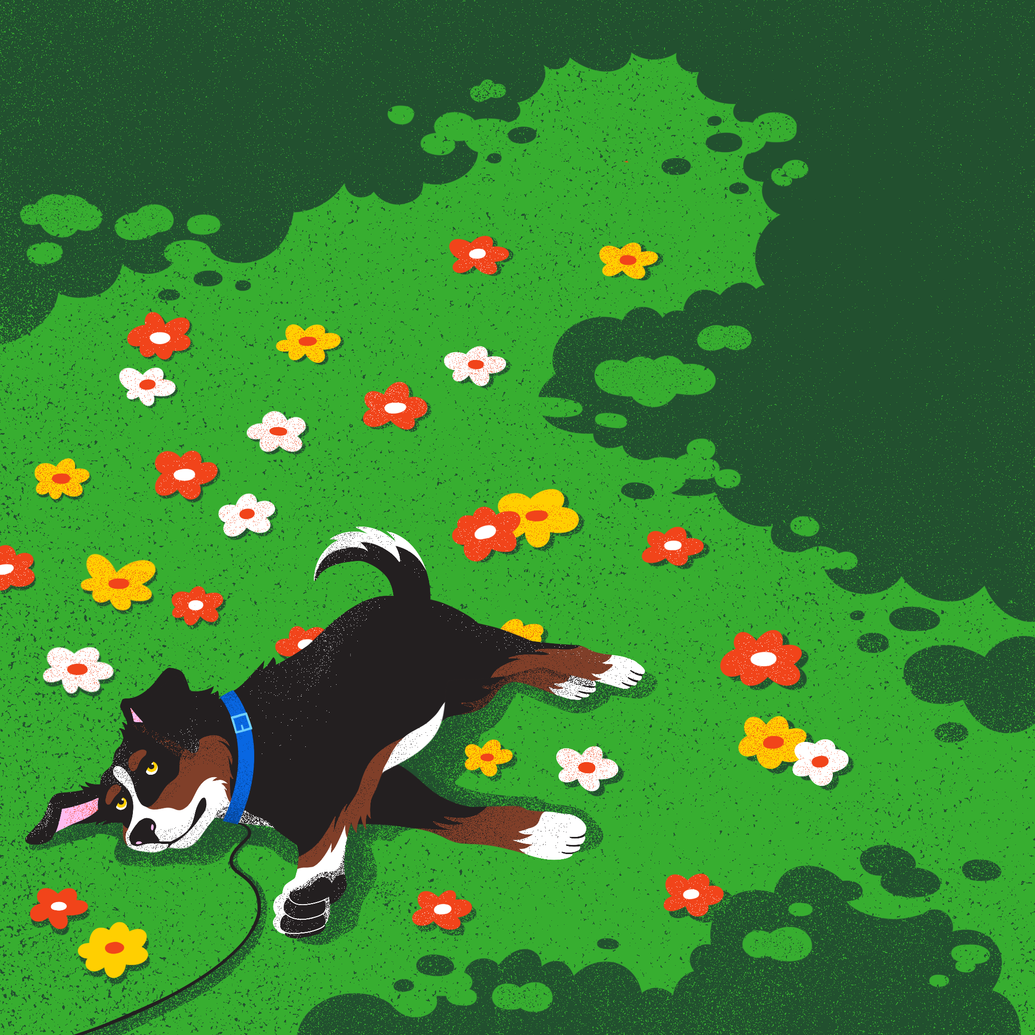The Art of Chill - Dog in the grass