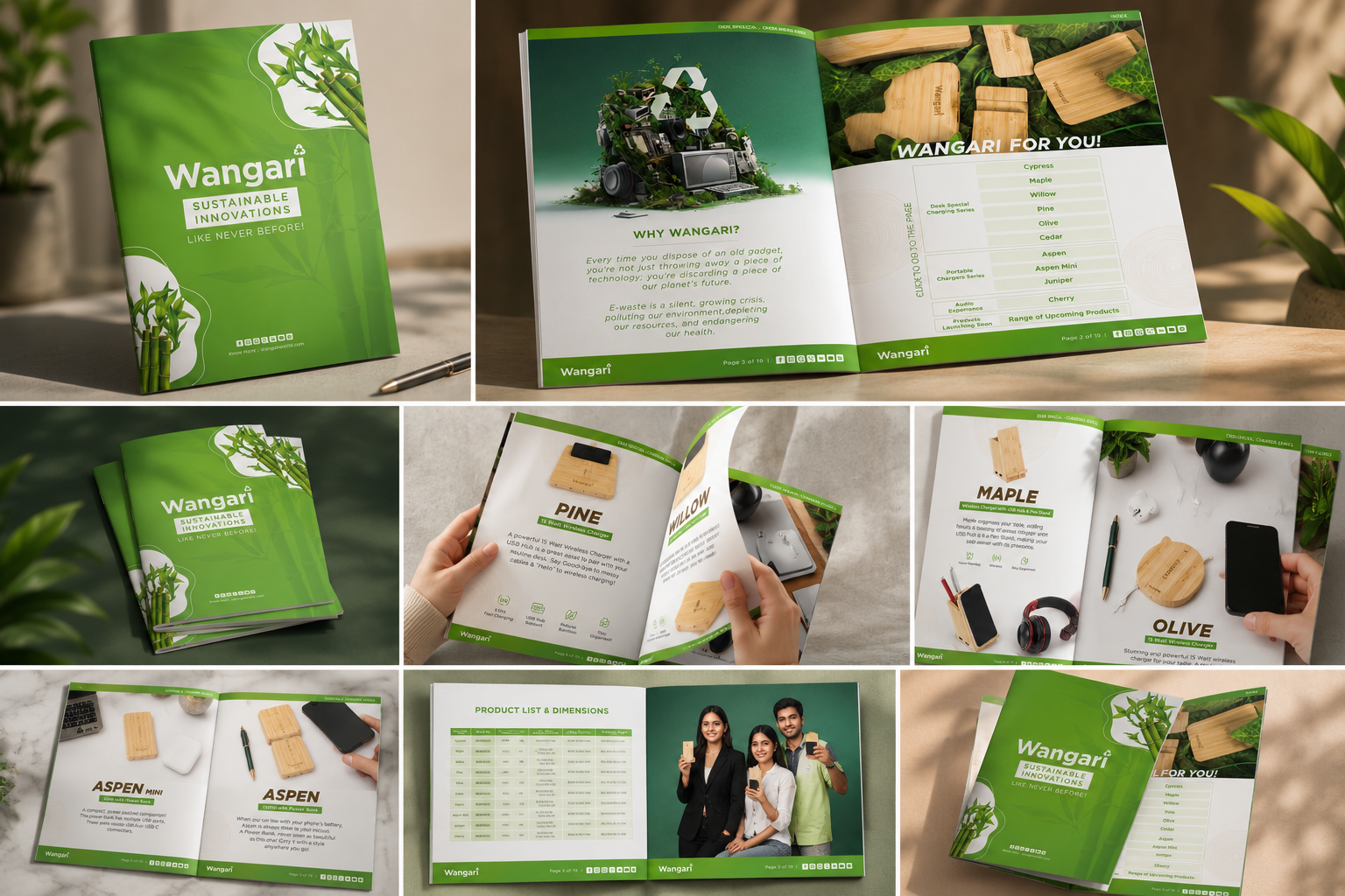 Electronic Product Brochures branding design graphic design illustration