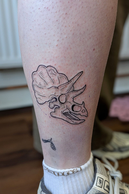 Triceratops.