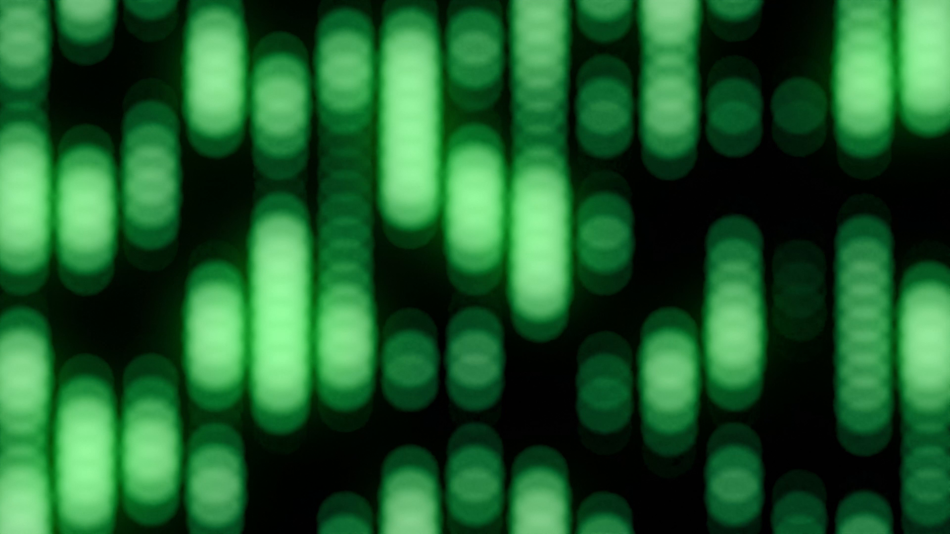 Grid-Based Loop Animation Study — From Negi Design