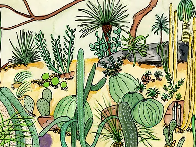 NY Botanical Garden floral illustration ink watercolor
