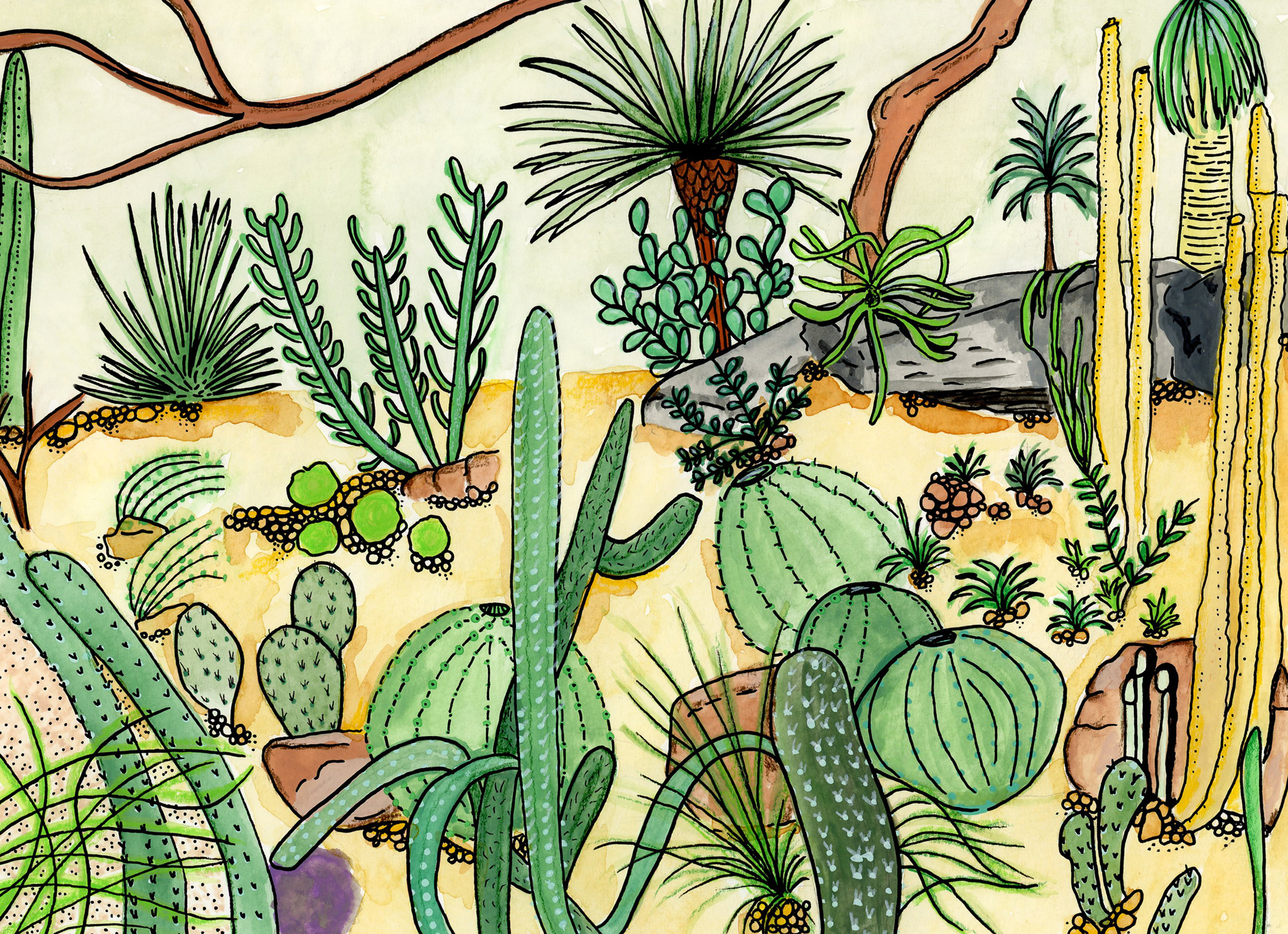 Example of NY Botanical Garden