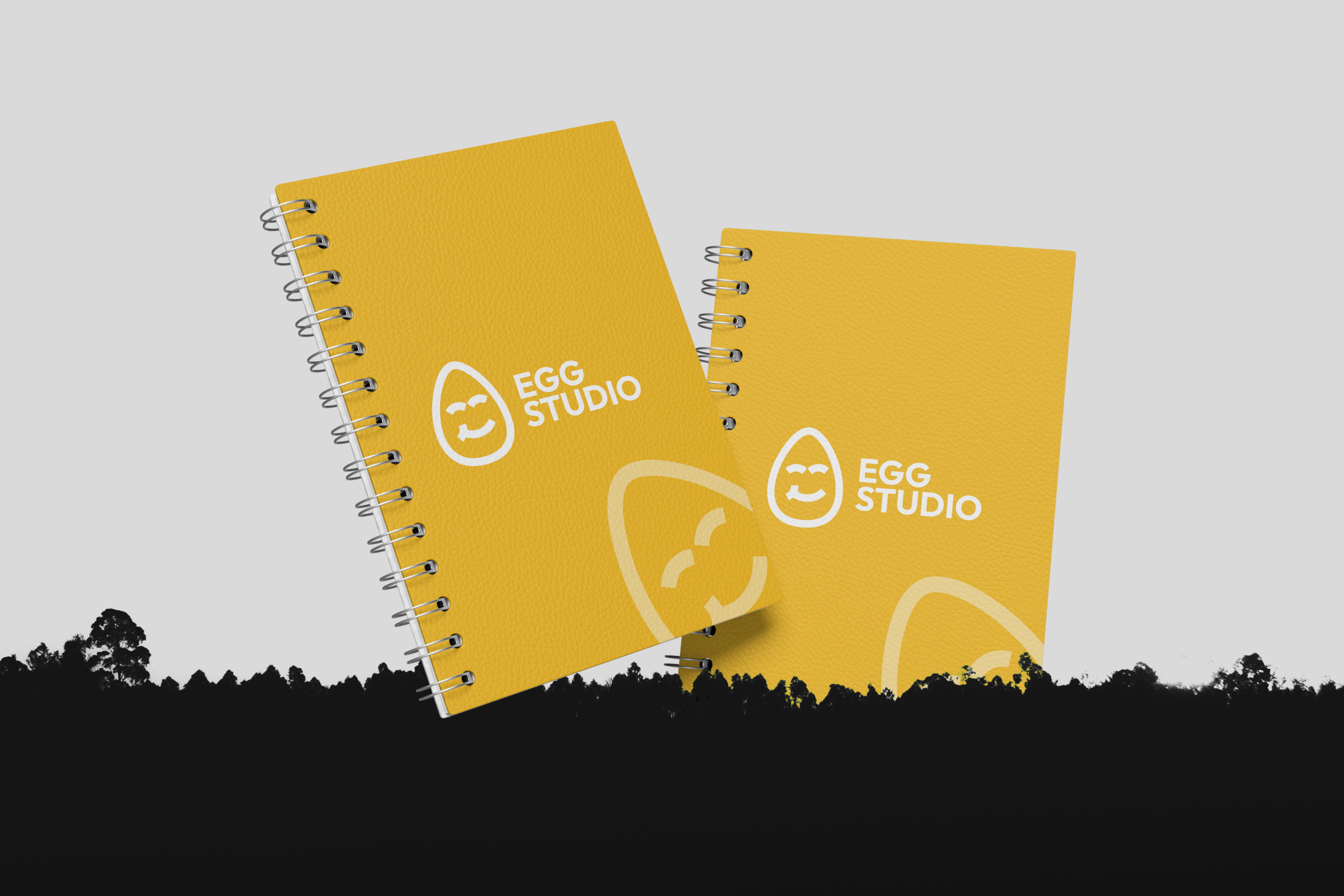 Example of Brand Identity Visual Branding Package  