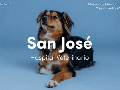 San José - Hospital Veterinario | Visual Identity brand brand design branding graphic design logo logotype visual visual identity