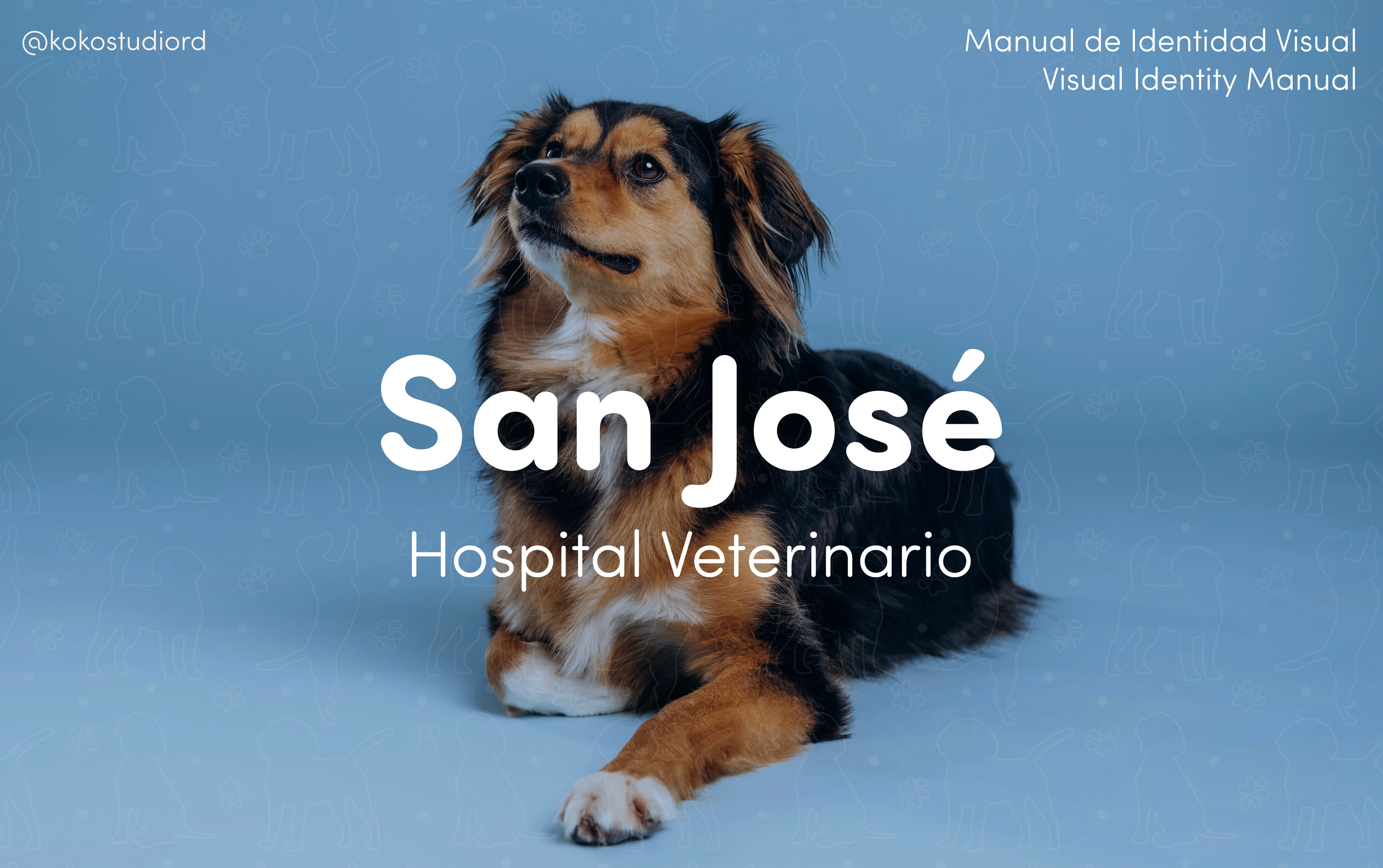 Example of Visual Identity Complete