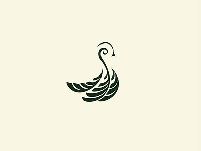 Pecock designs, themes, templates and downloadable graphic elements on  Dribbble