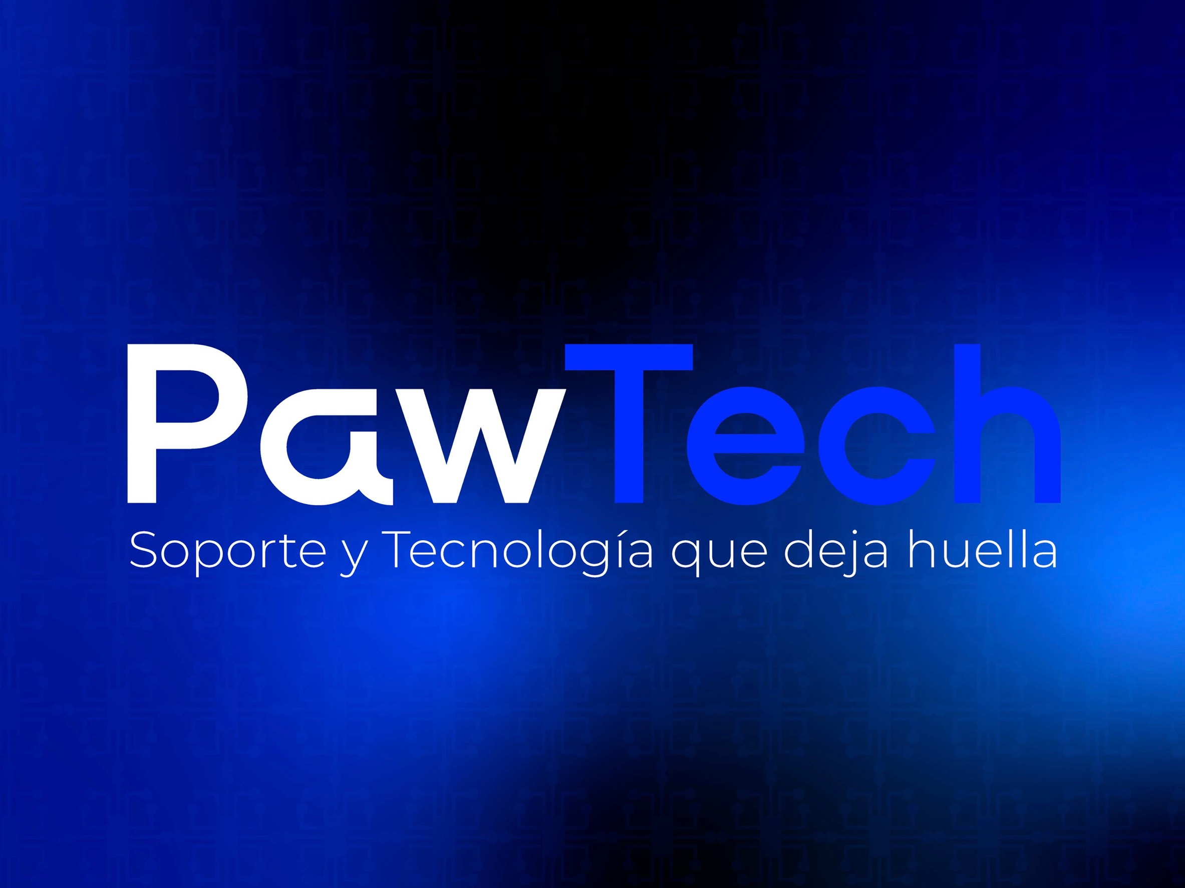PawTech - Visual Identity