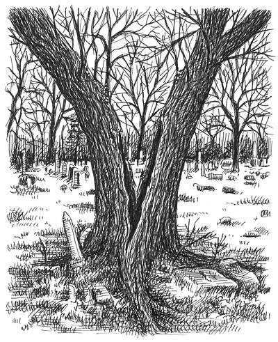 Split Cemetery Tree art artwork creepy dark drawing hand drawn illustration ink landscape ominous snow tree