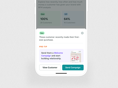 Customers Segmentation Bottom Sheet UI bottom sheet card card design components data insights card ios app design list minimal ui modal modual responsive design style guide table ui ui components ui elements