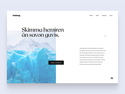 #DailyUI 21 - Iceberg dailyui dailyuichallenge design ui ux web webdesign