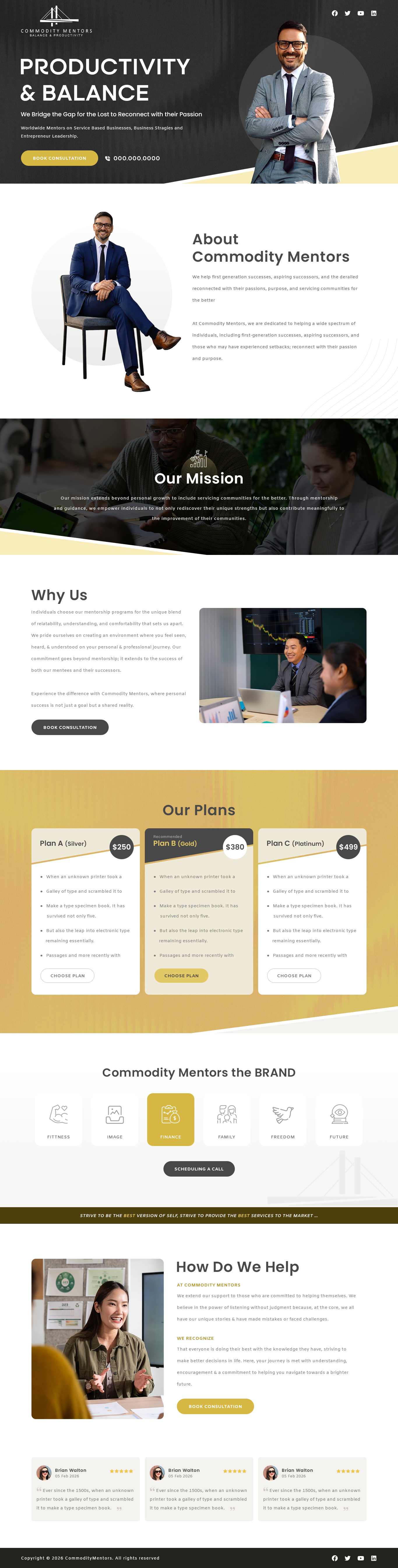 Business Consultation Website business consultation website leadership consultation mentors