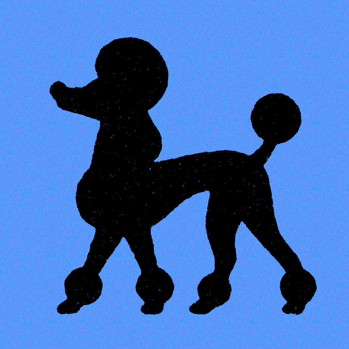 Poodle dog illustration kemal sanli poodle