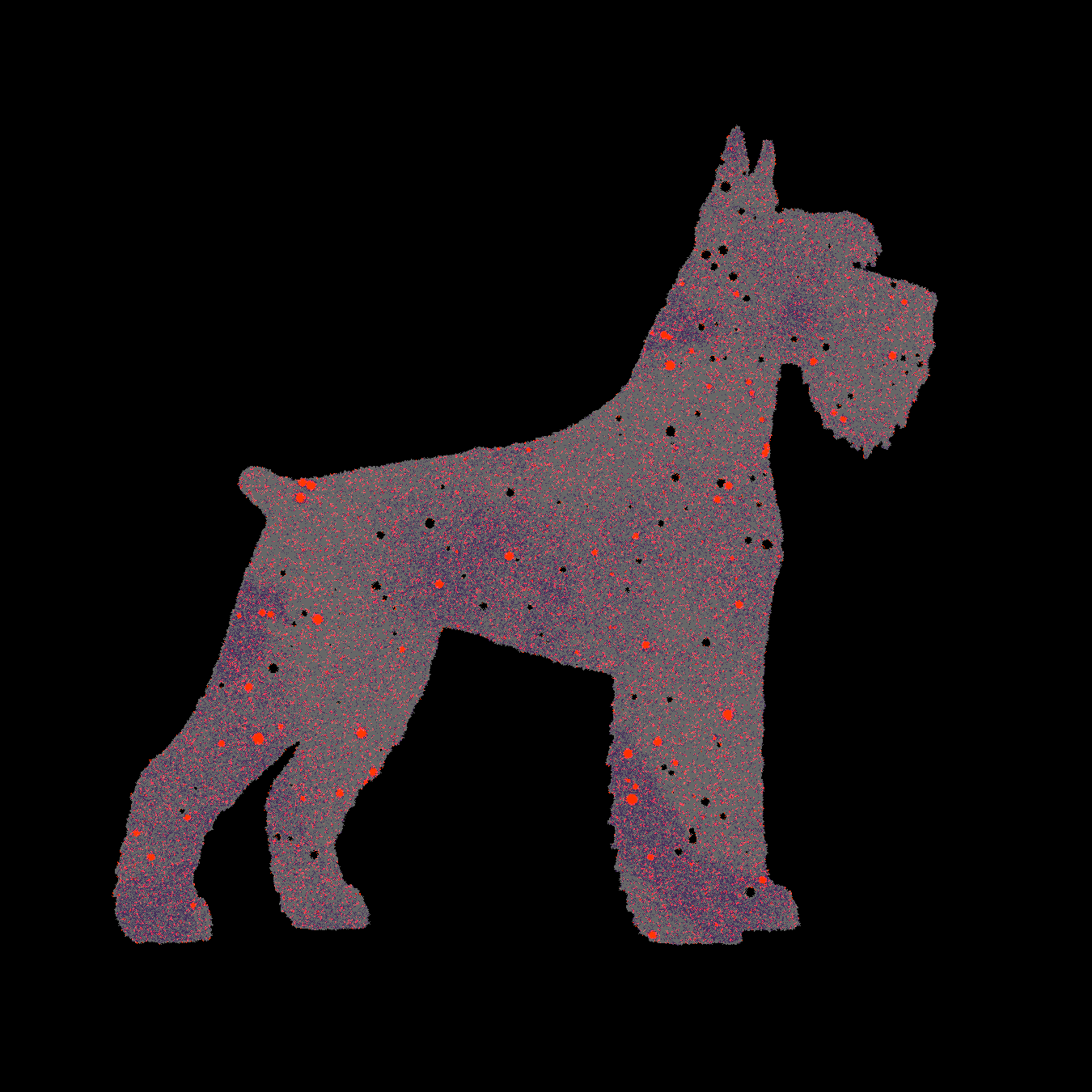 Riesenschnauzer dog illustration riesenschnauzer texture