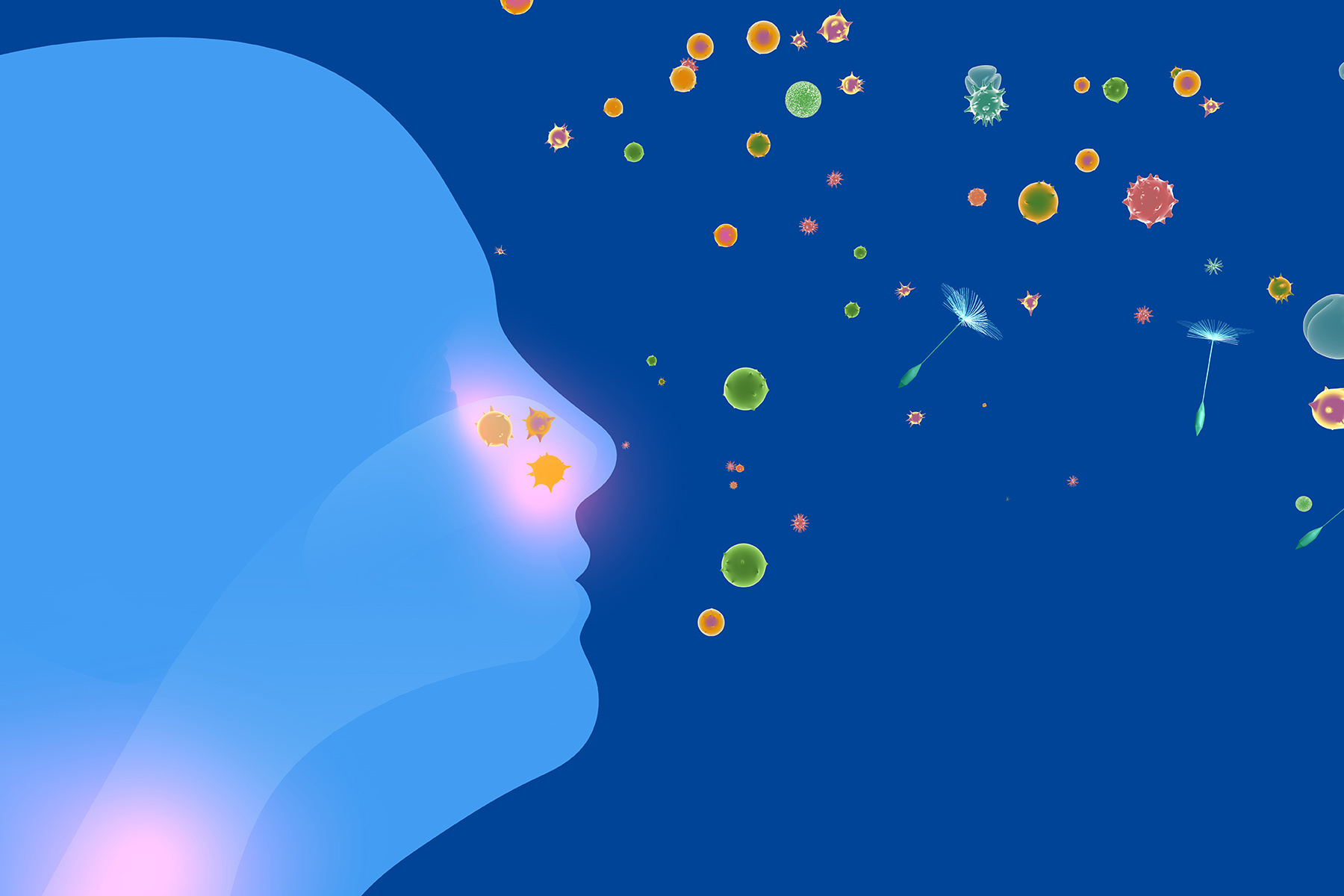 3D illustration of a human head with the respiratory system.