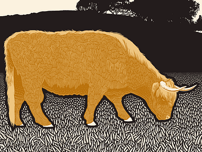 Tomales california duotone highland cow illustration marin procreate tomales woodcut