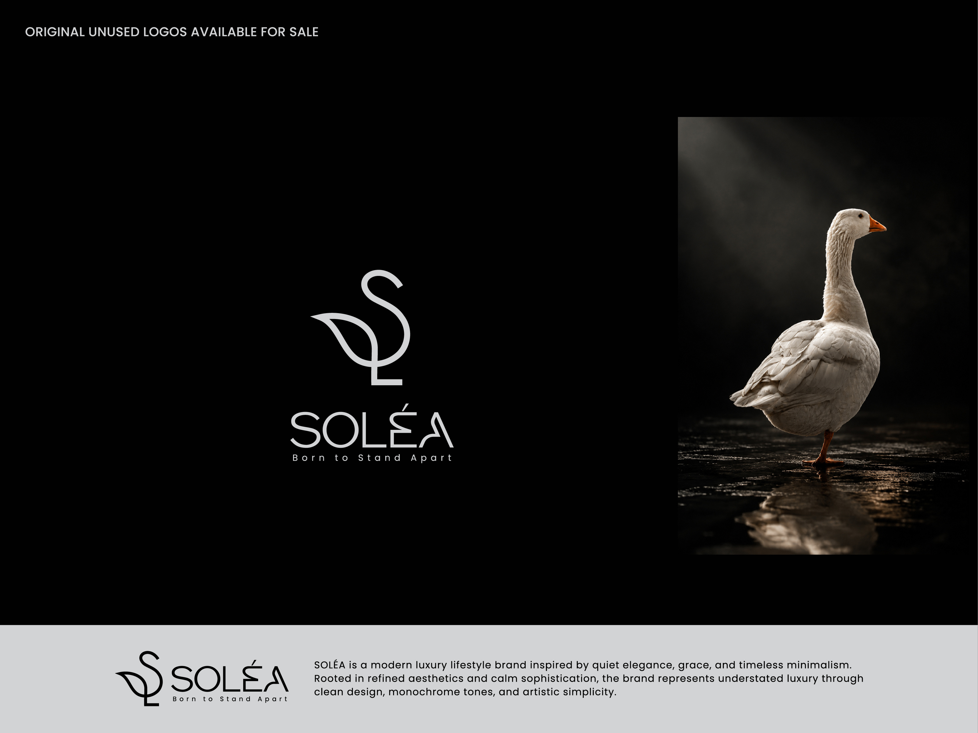 SOLÉA — Elegant Swan Inspired Luxury Logo Design