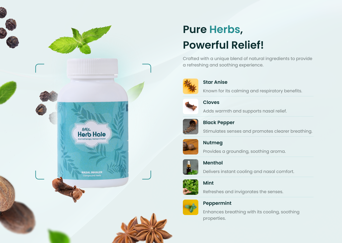 Product Website Design - Herbhale branding design product ui ux