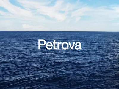 Petrova - Oil and Gas Website Animation animation clean ui landingpage microinteraction motion graphics oil and gas ui animation web design website